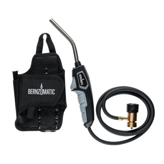 Worthington Bernzomatic BZ8250HT Instruction Manual