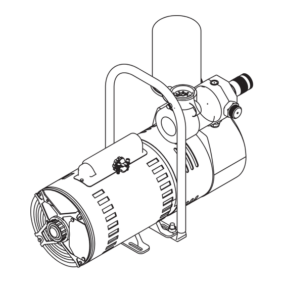 Bullard EDP1050HZ220V Instruction Manual