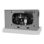Coleman Powermate PM402511 Owner's Manual