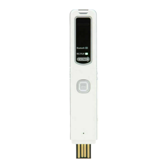 Esonic BR-20 User Manual