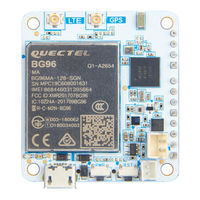 RAK RAK5010 Quick Start Manual
