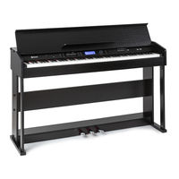 Schubert 10035596 Manual