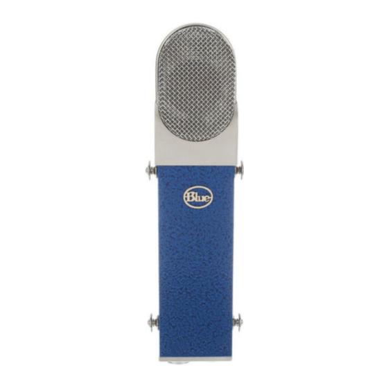Blue Blueberry User Manual