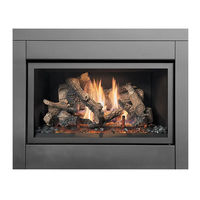 FireplaceXtrordinair 564 GSR2 25K CF Installation Manual