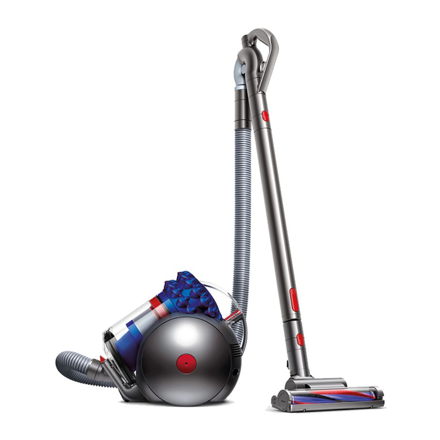 Dyson big ball Manual