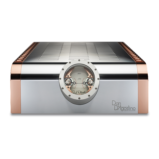 Dan D'Agostino MOMENTUM M400 MONOBLOCK Owner's Manual