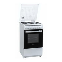 Heinner HFSC-V60LITGC-SL Instruction Manual