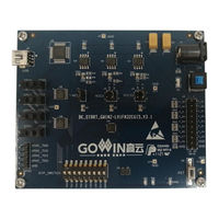 GOWIN DK START GW1NZ-LV1FN32C6I5 User Manual
