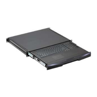 CyberView RK-2e User Manual