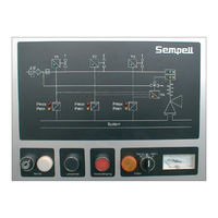 Emerson Sempell series Operating Instructions Manual