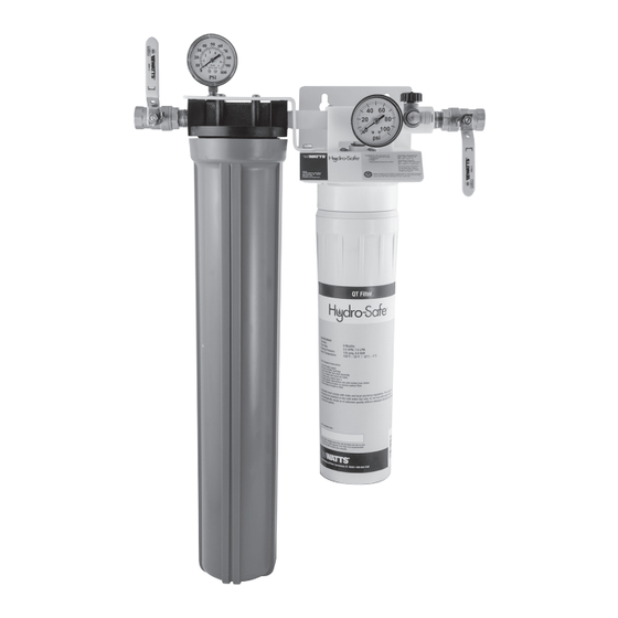 Watts Hydro-Safe QTESPMAX-2S-10M Installation, Operation And Maintenance Manual