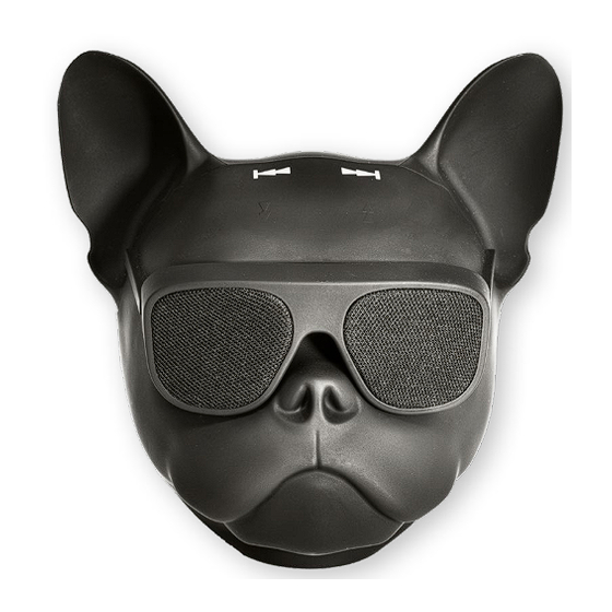 Ibiza DOG-SOUND User Manual