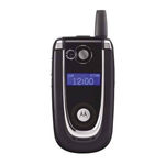 Motorola Bluetooth Module User Manual