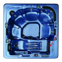 Dynasty Spas 2006 Owner's Manual