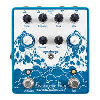 Earthquaker Devices Avalanche Run Operation Manual
