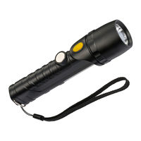 Brennenstuhl LuxPremium LED THL 300 User Manual