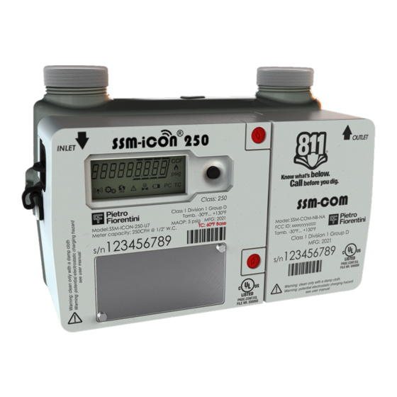 PIETRO FIORENTINI SSM-ICON 250 Manual