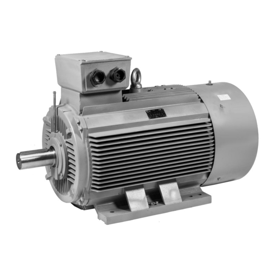 Omec OMT2 Electric Motor Manuals
