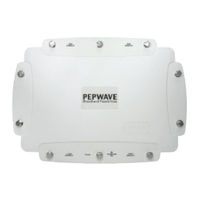 Pepwave BR1 Mini User Manual