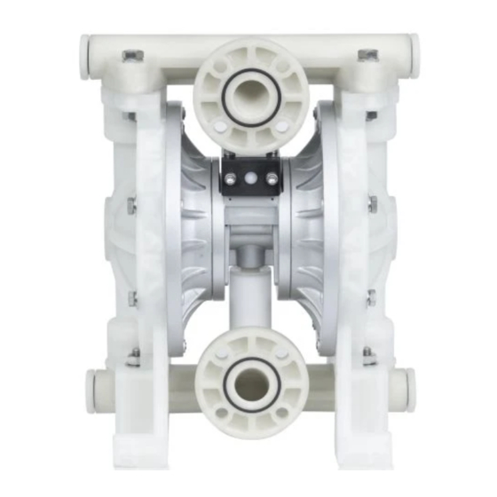 DYI SHENG DS10-P-02 Operating Manual