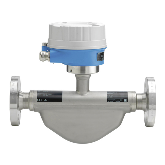 Endress+Hauser LPGmass Manual