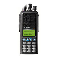BK Radio KNG User Manual