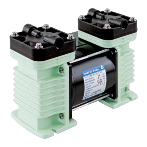 IWAKI PUMPS APN-P110-D4 Instruction Manual