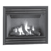 Regency Fireplace Products P48-NG1 Owners & Installation Manual
