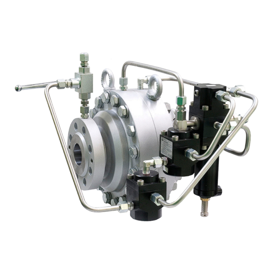 User Manuals: PIETRO FIORENTINI ASX 176/FO Regulator