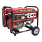 Portable Generator All-Power APG3009N Owner's Manual