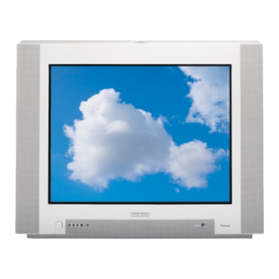 Philips MatchLine 29PT 9416 Technical Specifications