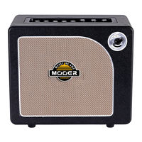 Mooer HORNET GREEN Owner's Manual