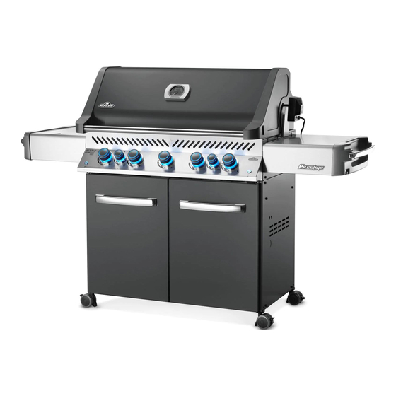 Napoleon P665RSIBPCH Manual