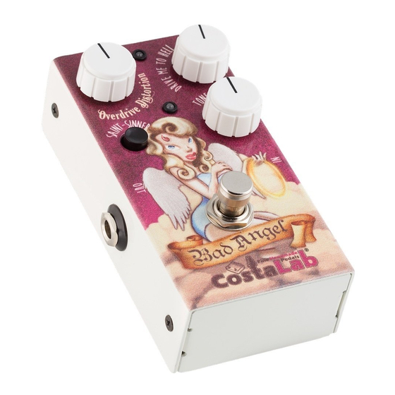 Costalab Bad Angel Quick Start Manual