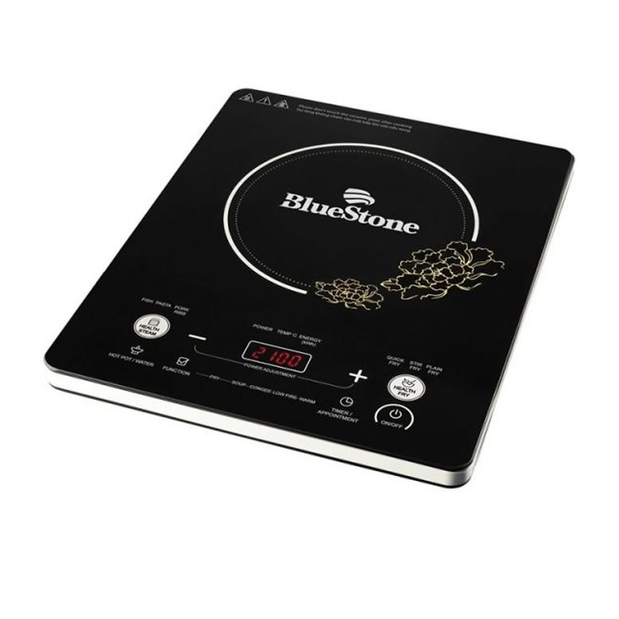 Bluestone ICB - 6679 User Manual