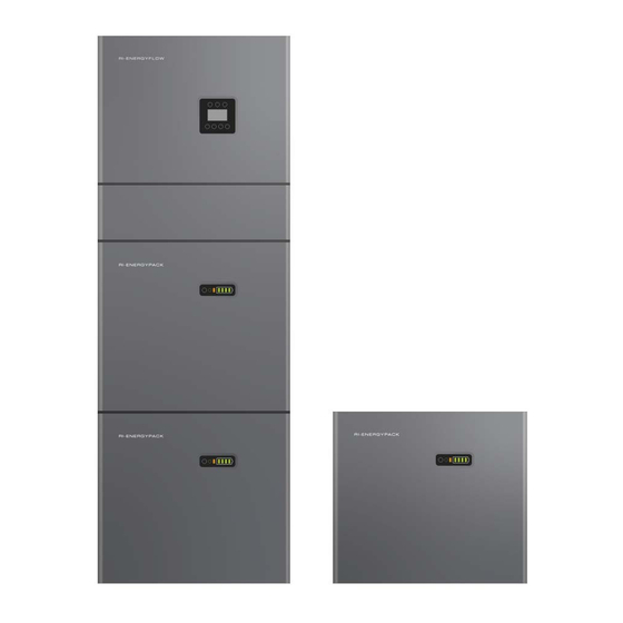 Rayleigh Instruments RI-ENERGYFLOW-MODULAR Series Quick Start Installation Manual