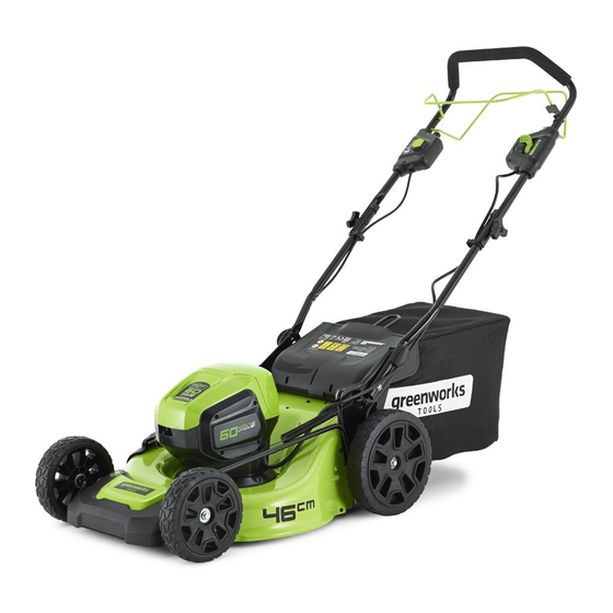GreenWorks Tools 2502907 User Manual