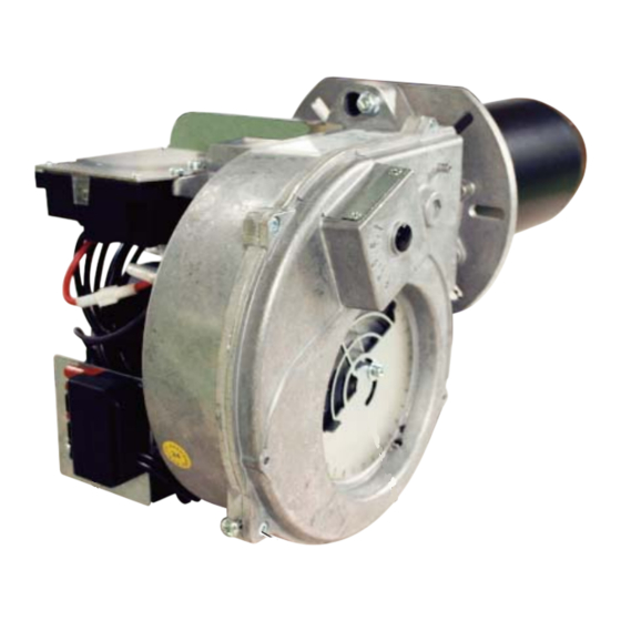 Ecoflam MAX 15 HT Manual
