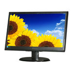 AOC E950SW User Manual