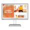 Monitor Lenovo L22i-40 User Manual