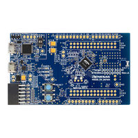 Renesas RX Series User Manual