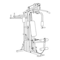 Weider Viper 2000 Manual