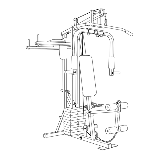 Weider Viper 2000 Manual