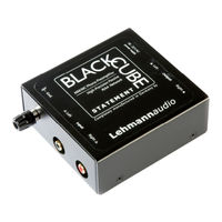Lehmannaudio Black Cube Statement Manual