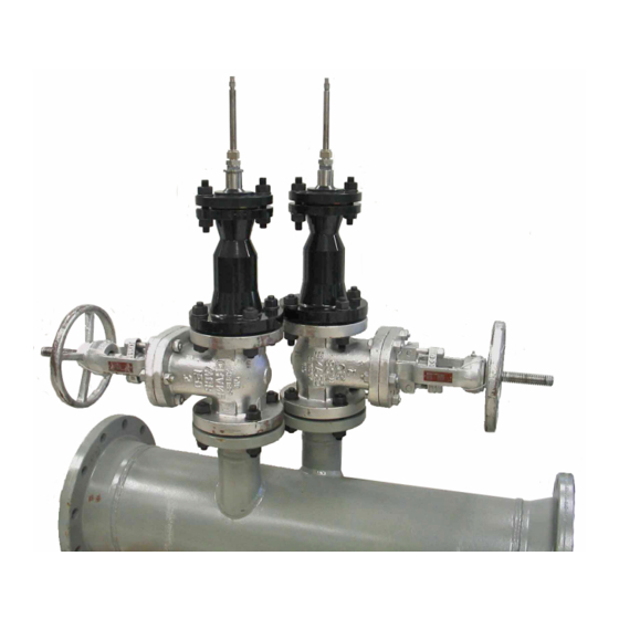 Panametrics T5 Installation Manual