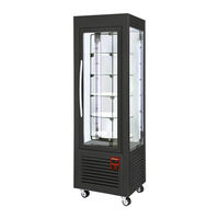 Diamond RD 60 TN Instructions For Installation And Use Manual