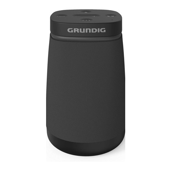 Grundig Portable 360 User Manual