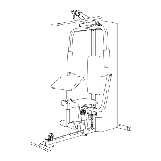 Weider WESY81080 User Manual