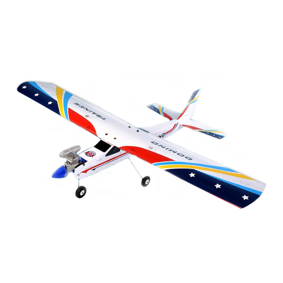 Phoenix Model Domino Instruction Manual