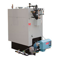 Bryan Boilers RV Series Installation, Operation And Service Manual
